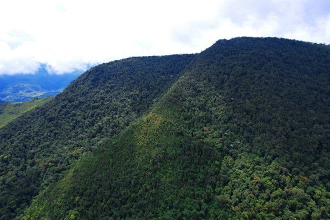 Reserva El Alto de la Perdiz